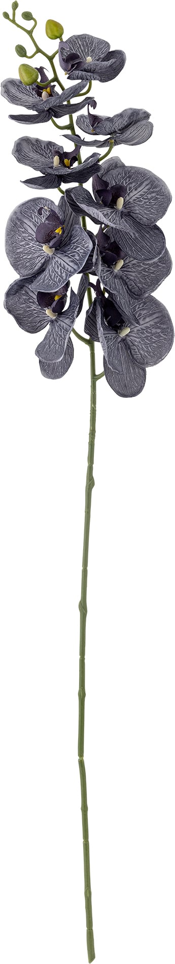 Kwiat sztuczny Bloomingville storczyk fioletowy