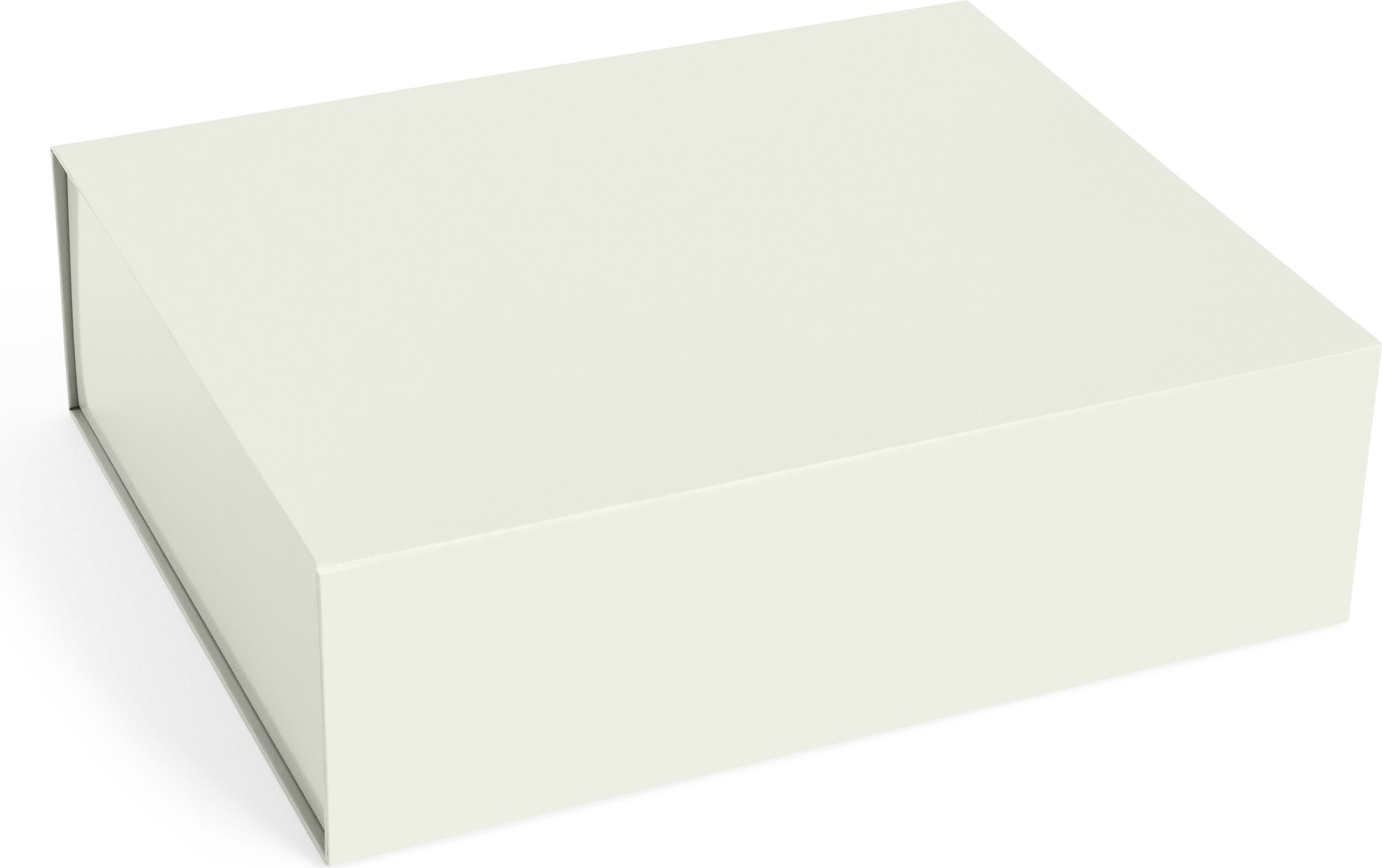 Pudełko do przechowywania Colour Storage L białe