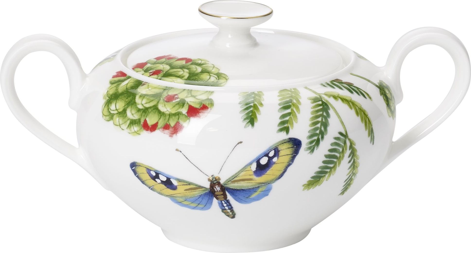 Cukiernica Amazonia Anmut