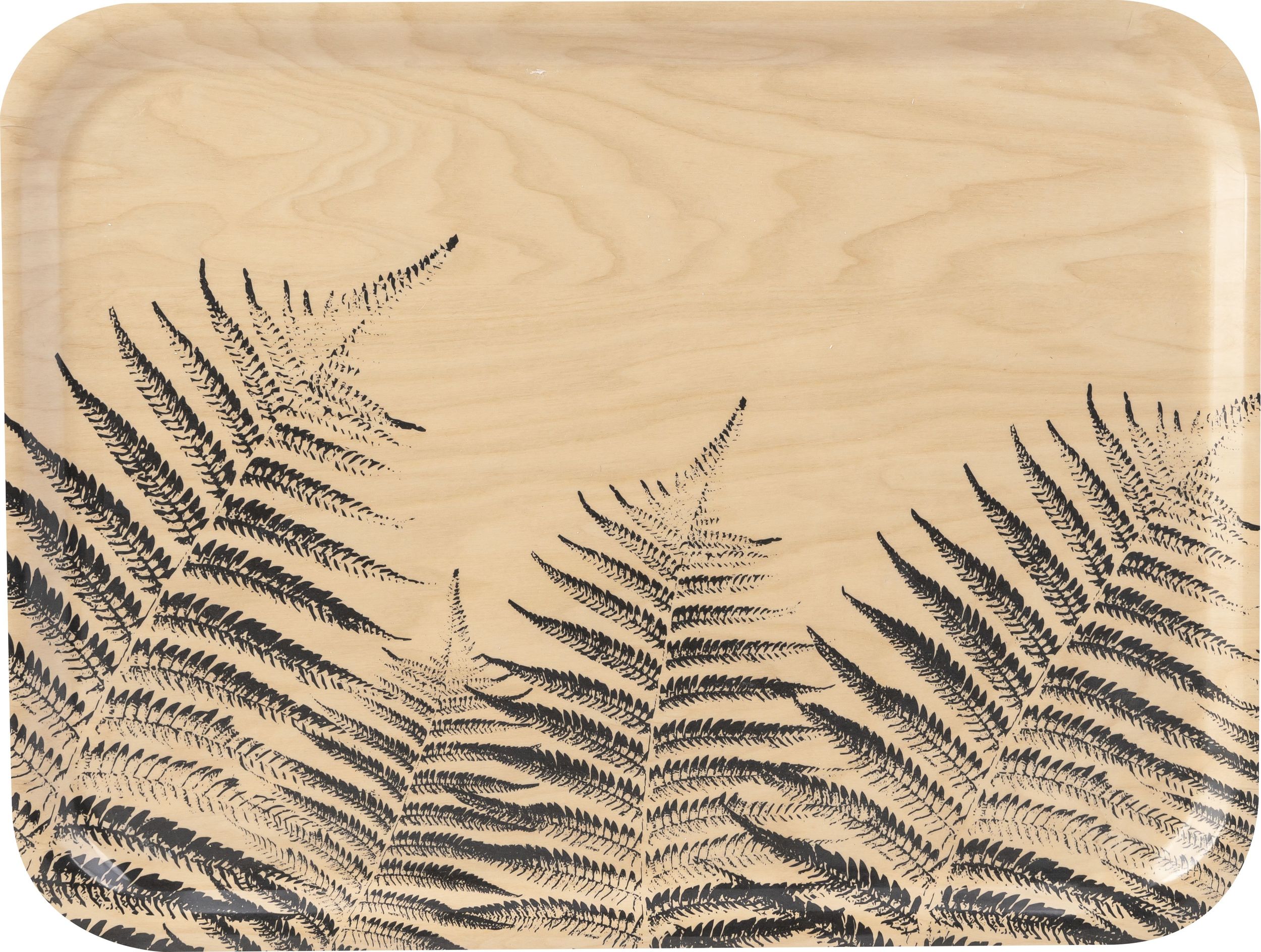 Taca do serwowania Nordic Won’t Slip paproć 13 x 27 cm