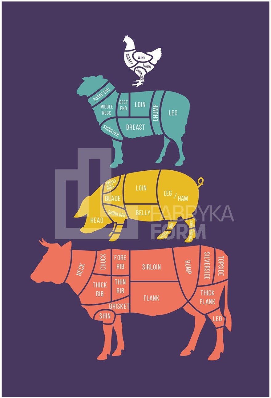 Plakat Meat Cuts 30 x 40 cm kolorowy