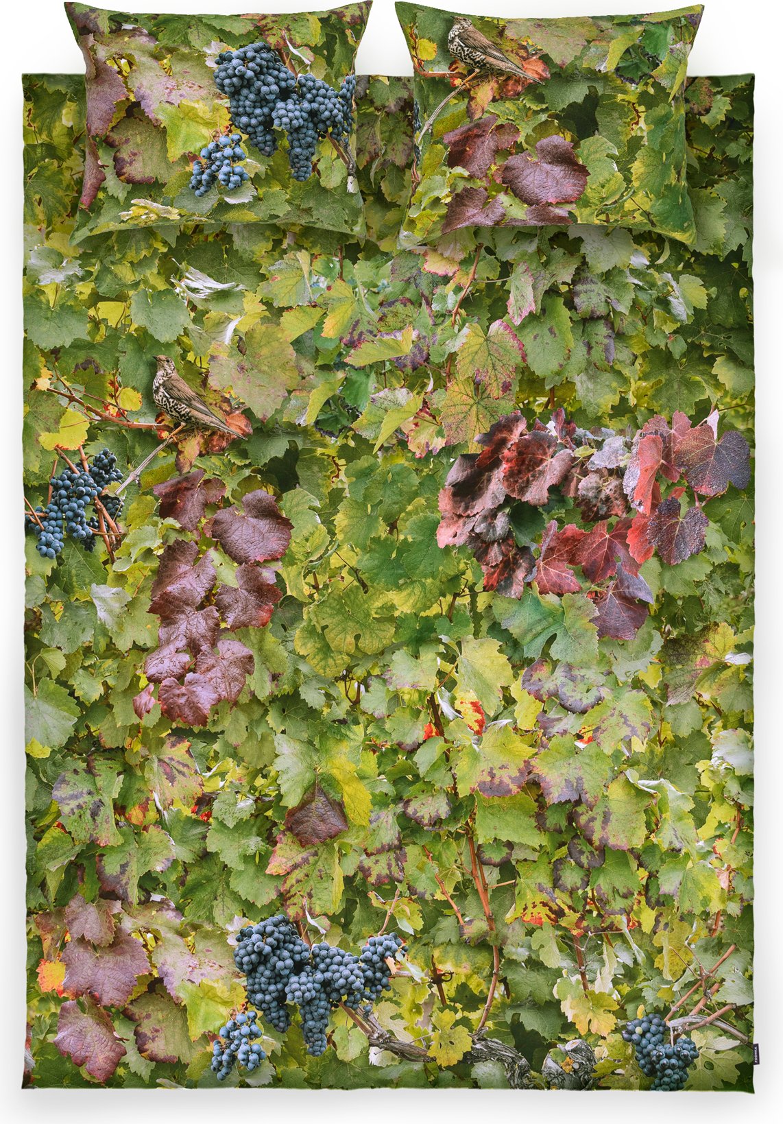 Pościel Hayka winnica 155 x 200 cm podwójna z 2 poszewkami na poduszki 70 x 80 cm