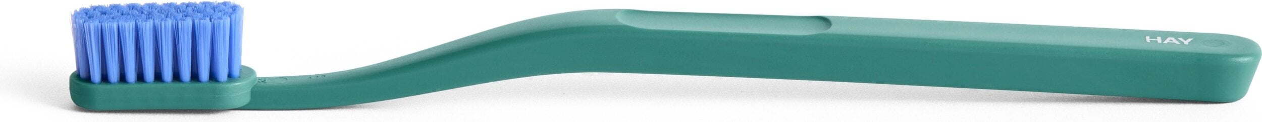 Szczoteczka do zębów Tann zielono-niebieska