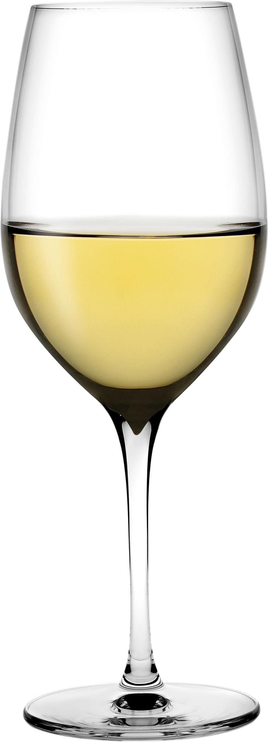 Kieliszki do wina białego Terroir 430 ml 2 szt.