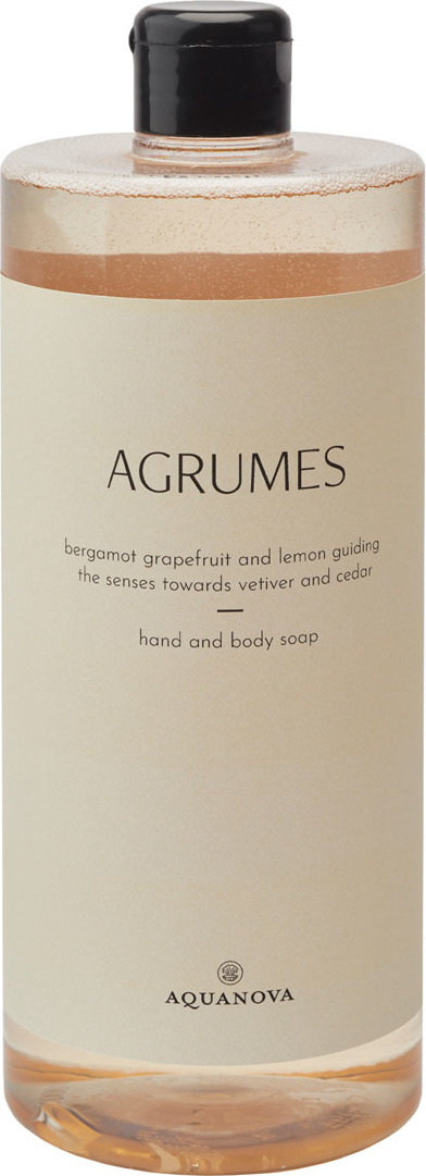 Uzupełnienie mydła w płynie Paris Citrus 1 l