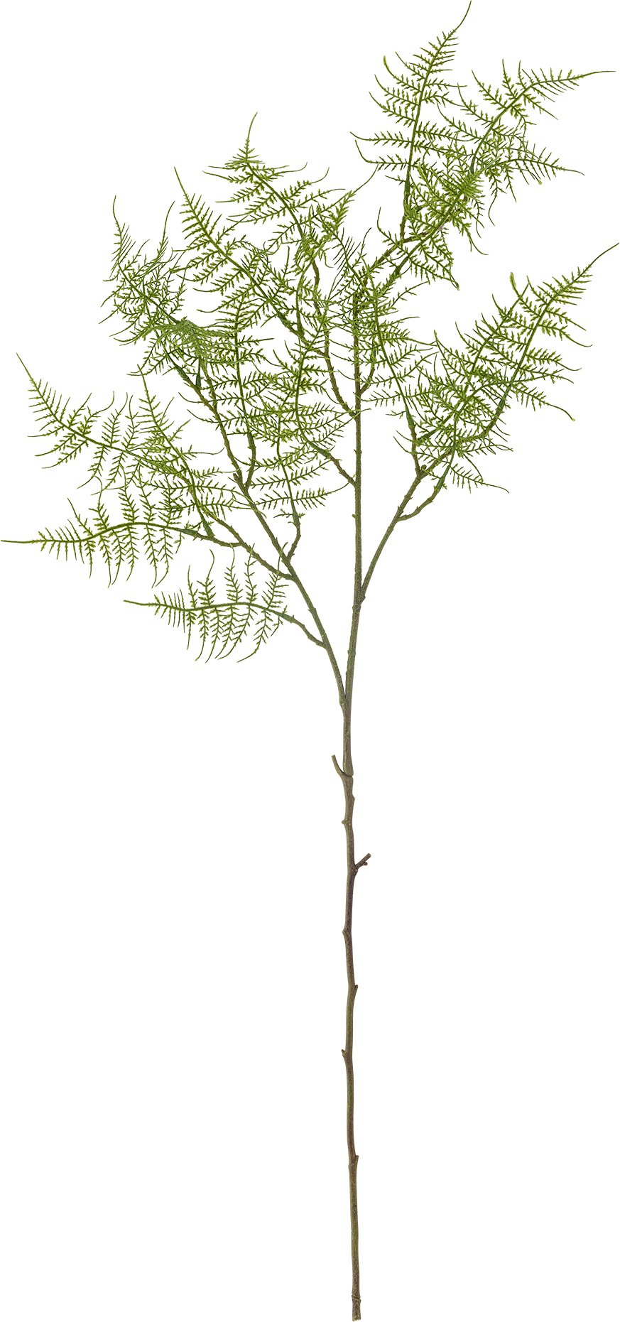 Kwiat sztuczny Bloomingville paproć 89 cm