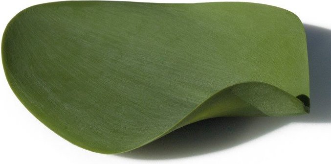 Naczynie do serwowania Seasons Medium