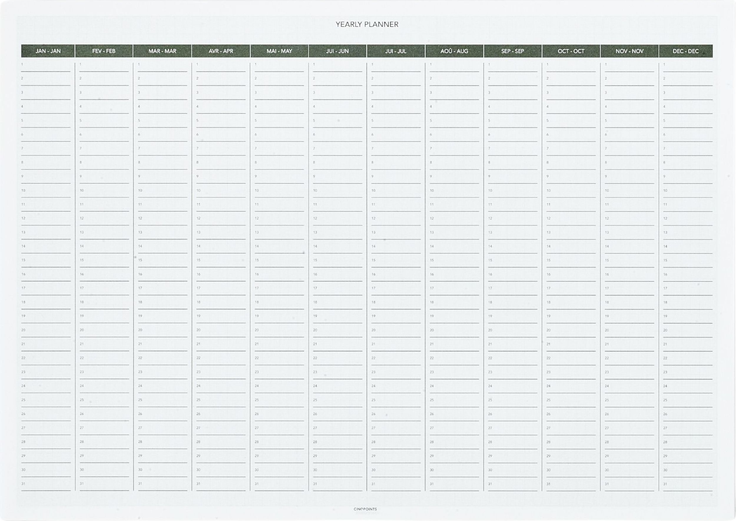 Planer roczny Cinqpoints A3