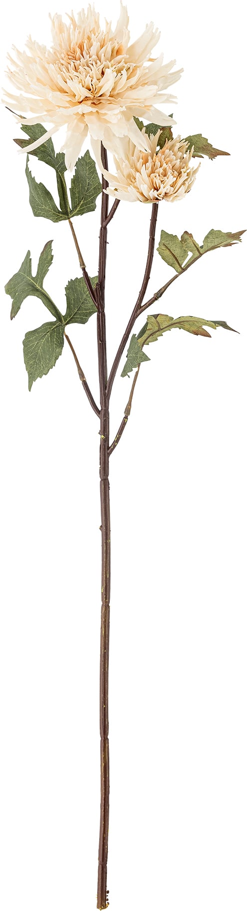 Kwiat sztuczny Bloomingville chryzantema beżowa