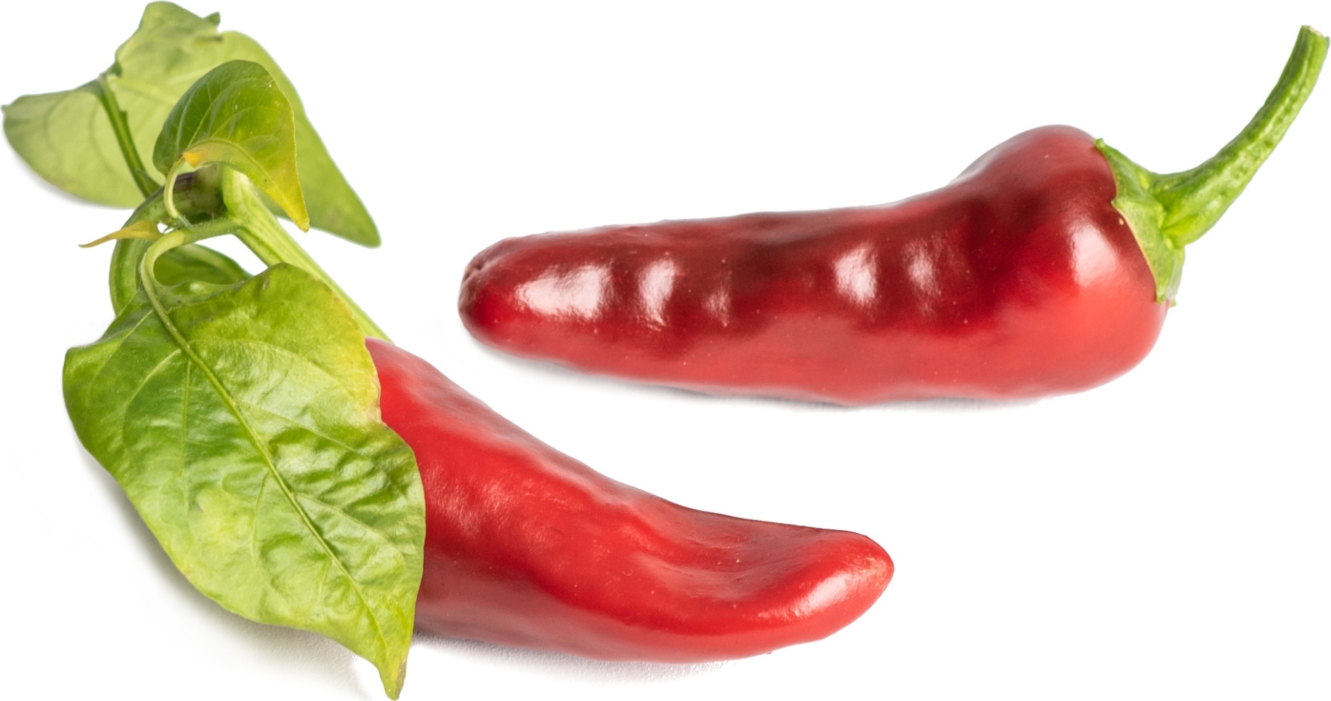 Wkład nasienny Lingot mini warzywa papryka chili z Espelette