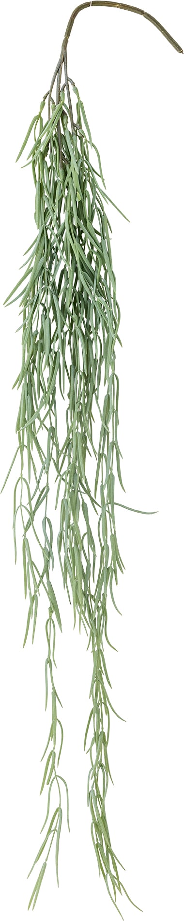 Kwiat sztuczny wiszący Bloomingville hoya lineari