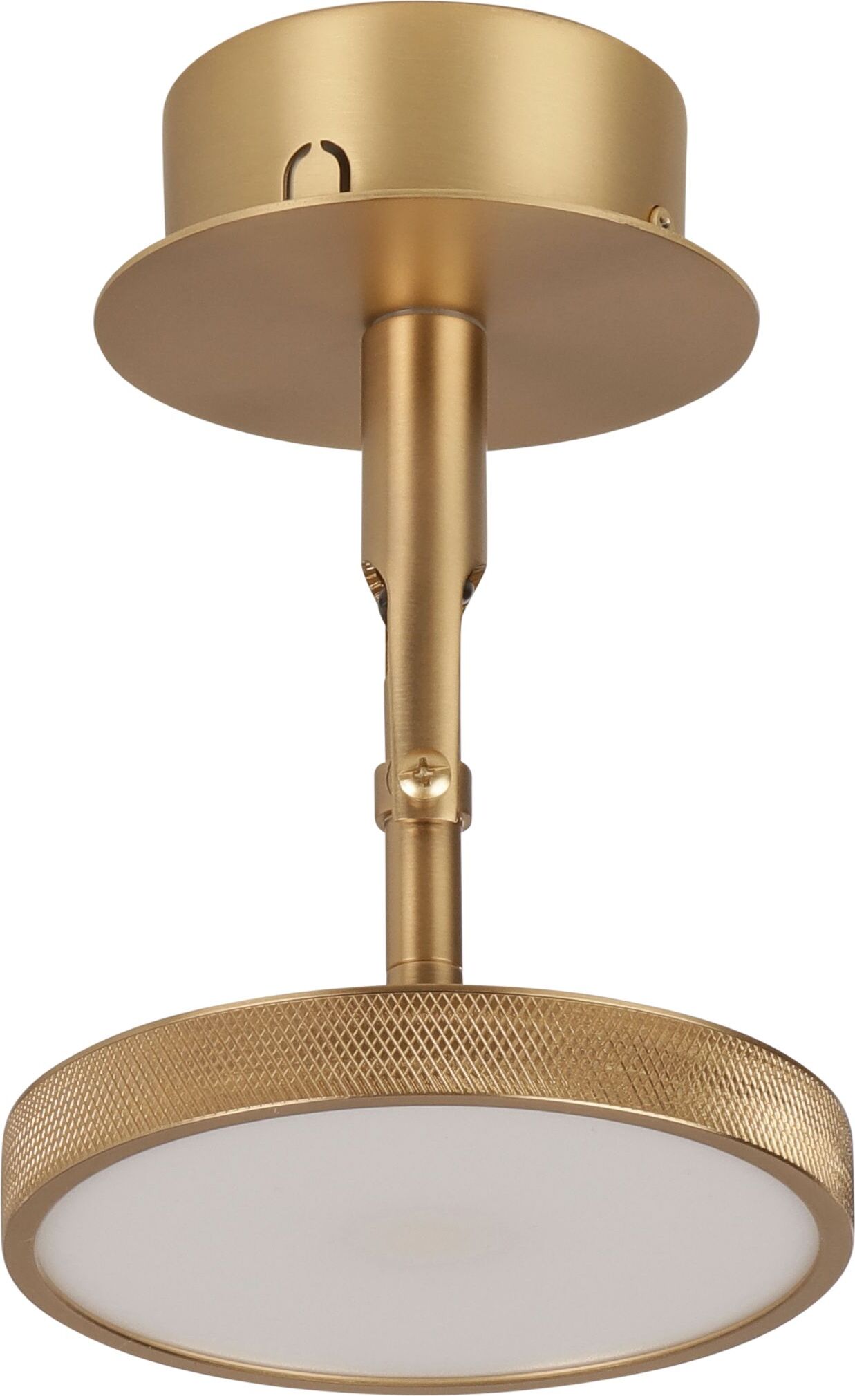 Lampa sufitowa Asteria Spot mosiądz