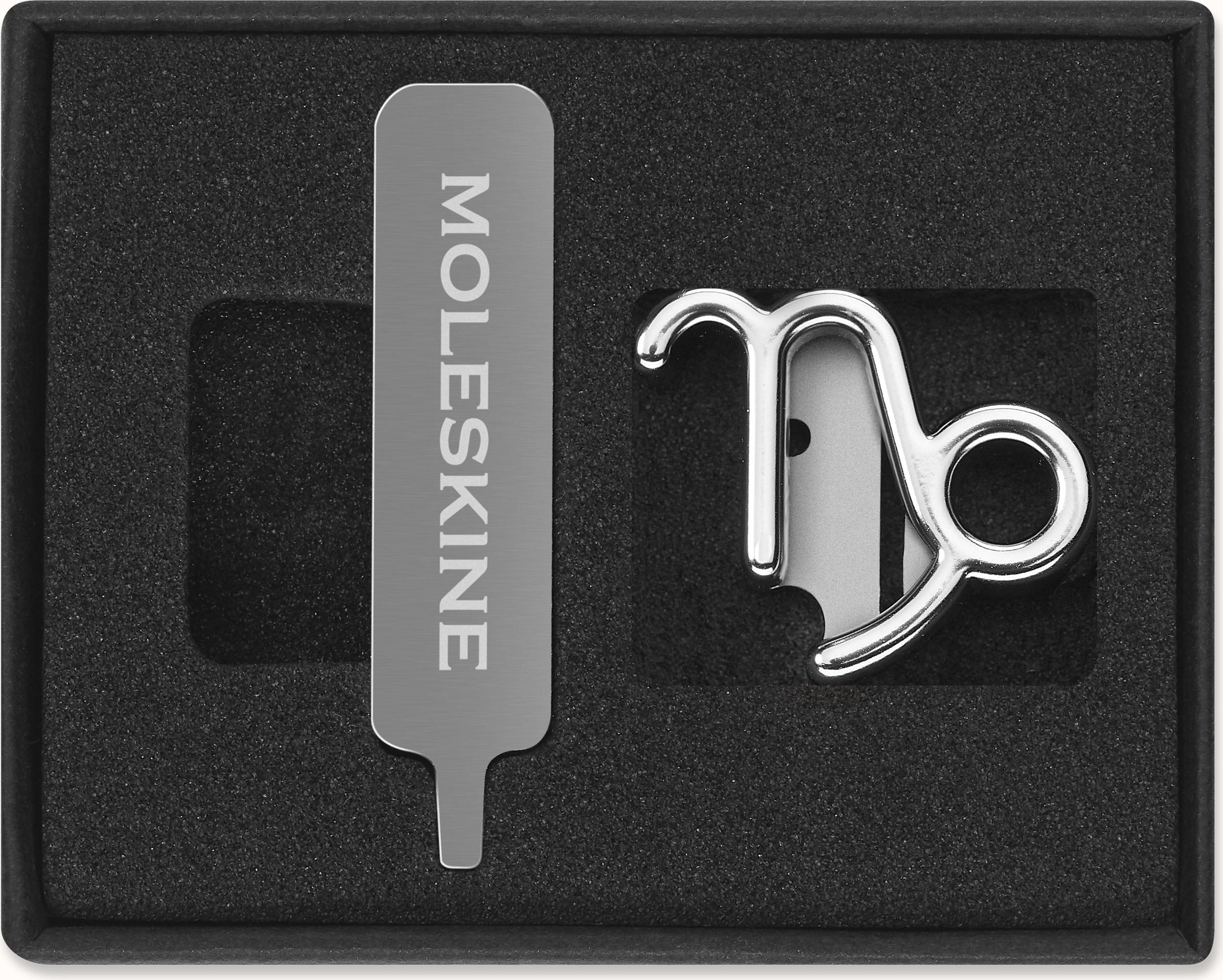 Przypinka na notes Moleskine zodiak koziorożec srebrna