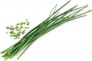 Wkład nasienny Lingot zioła podstawowe szczypiorek