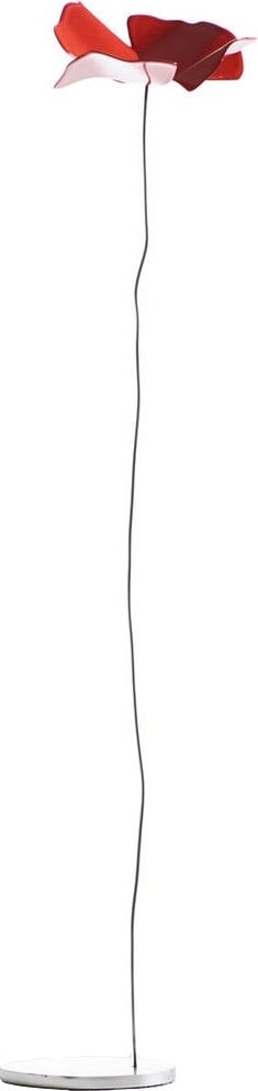 Dekoracja Papavero Delicato kwiat L czerwony