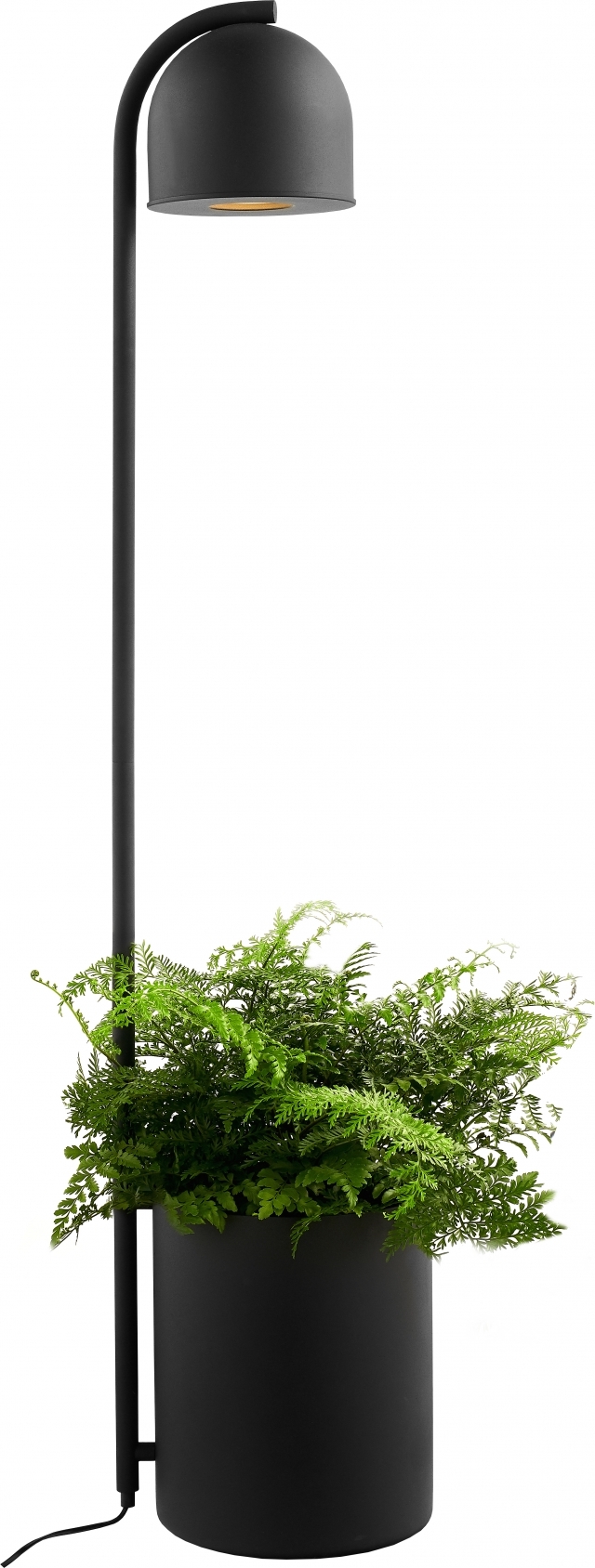 Lampa podłogowa Botanica XL czarna
