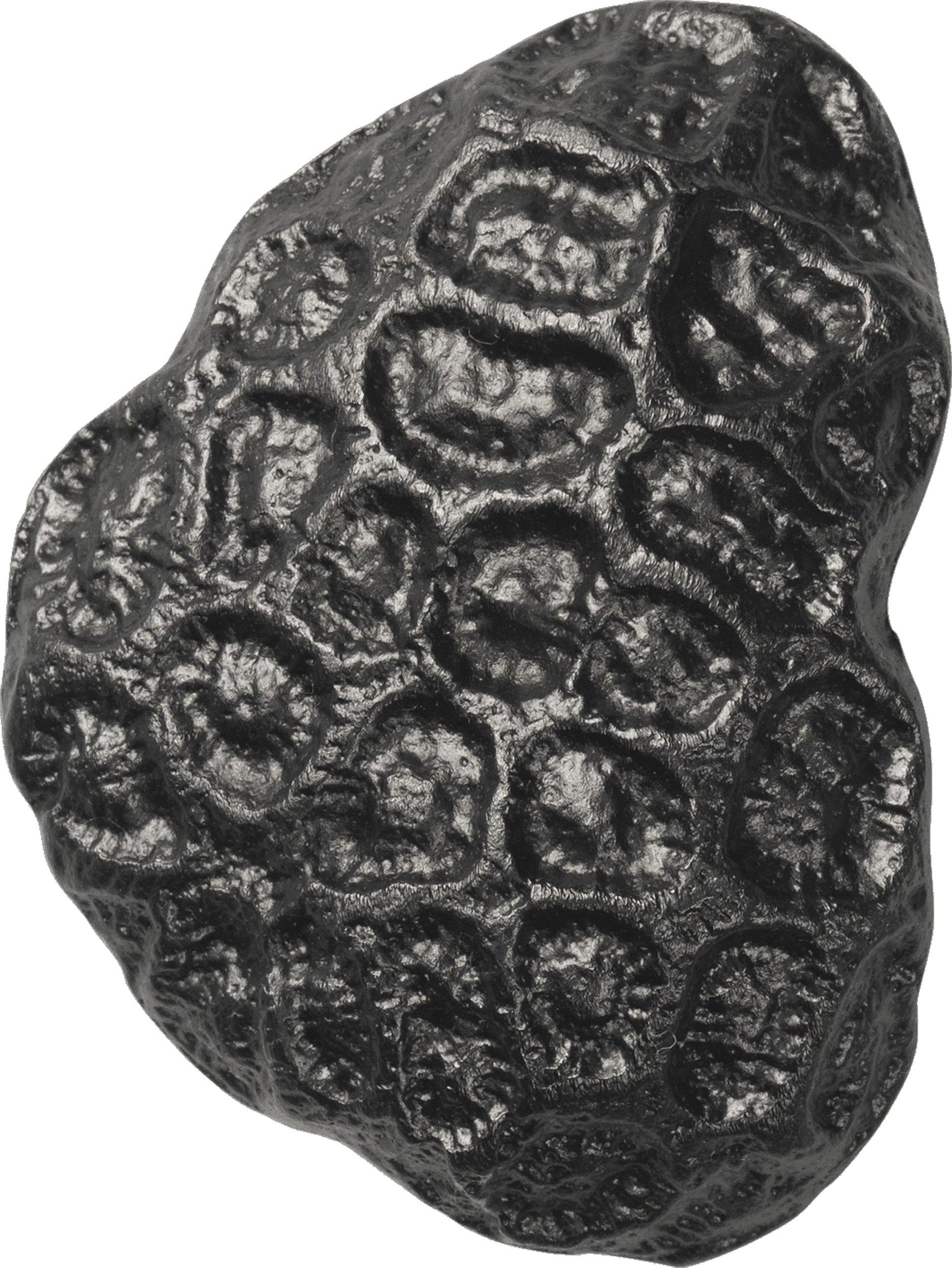 Haczyk ścienny Comber Coral czarny