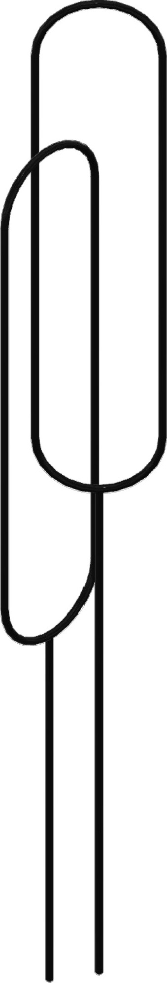 Podpórki do roślin Married owalne 2 szt.