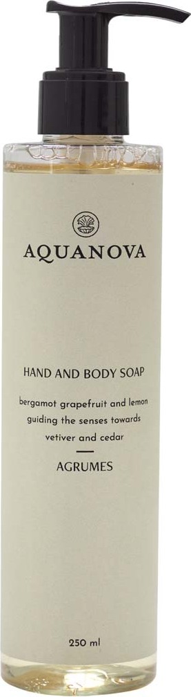 Mydło w płynie Paris Agrumes 250 ml