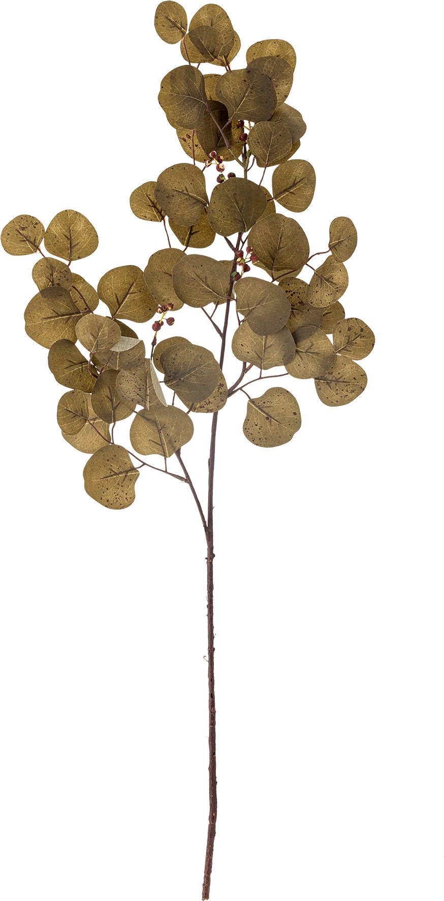 Kwiat sztuczny Bloomingville eukaliptus 86 cm brązowy