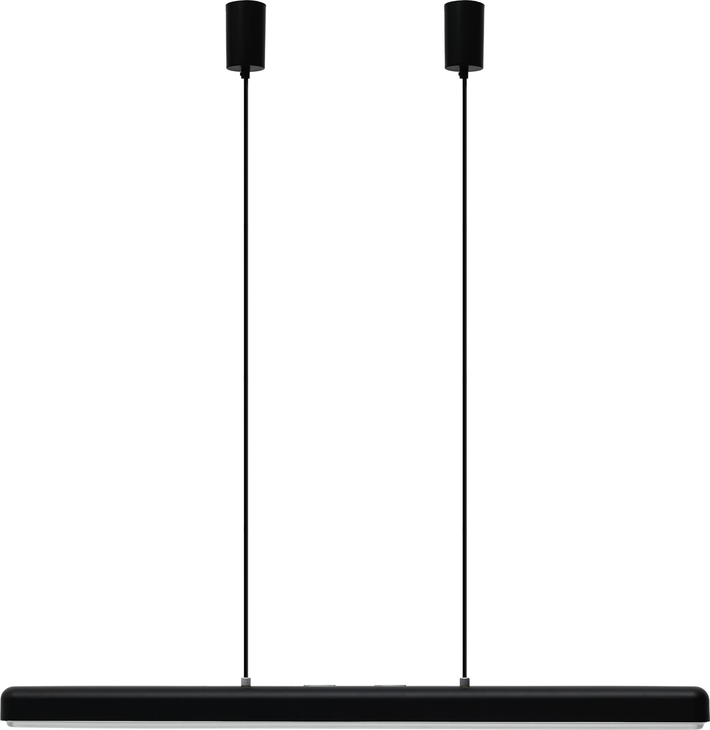 Lampa wisząca Hazel Branch czarna ze srebrnym mocowaniem