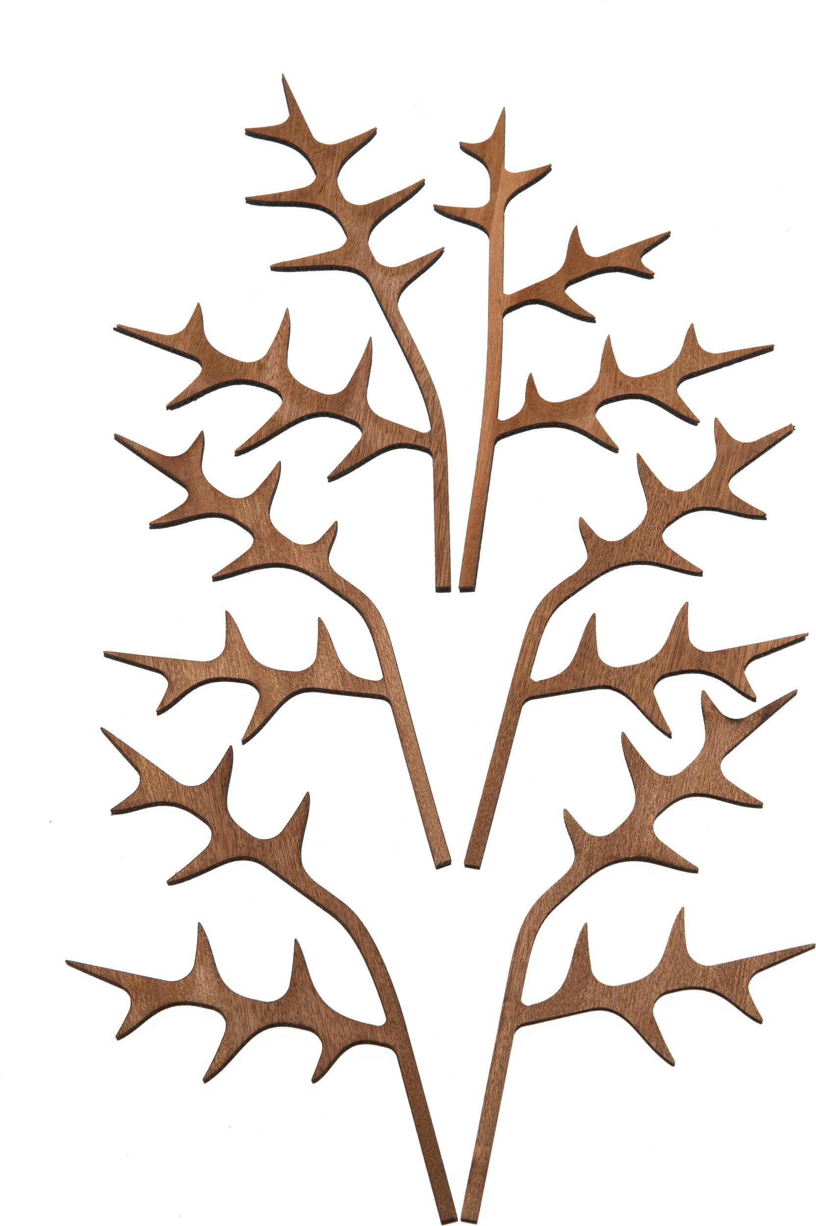 Listki do dyfuzora zapachowego The Five Seasons Ohhh