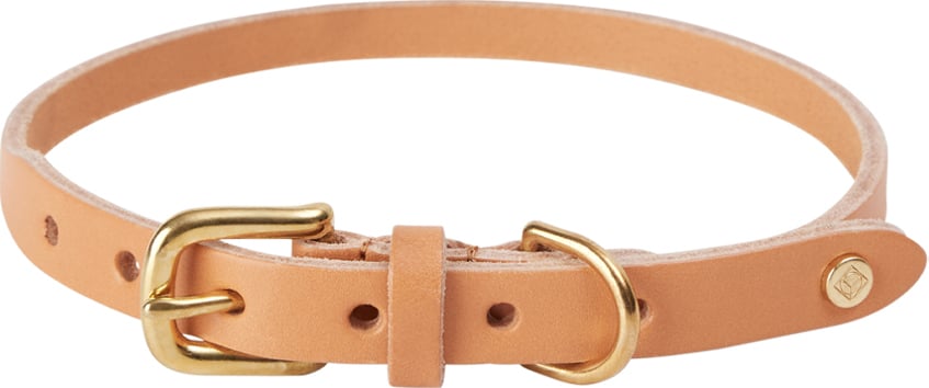 Obroża dla psa Robin 35 cm pomarańczowa