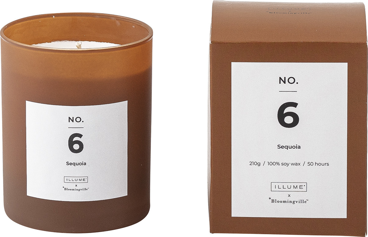 Świeca zapachowa Illume No.6 Sequoia 10 cm