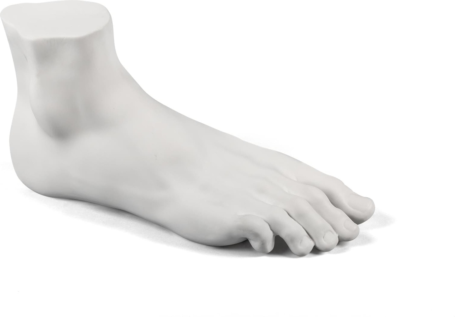 Dekoracja Memorabilia Mvsevm męska stopa