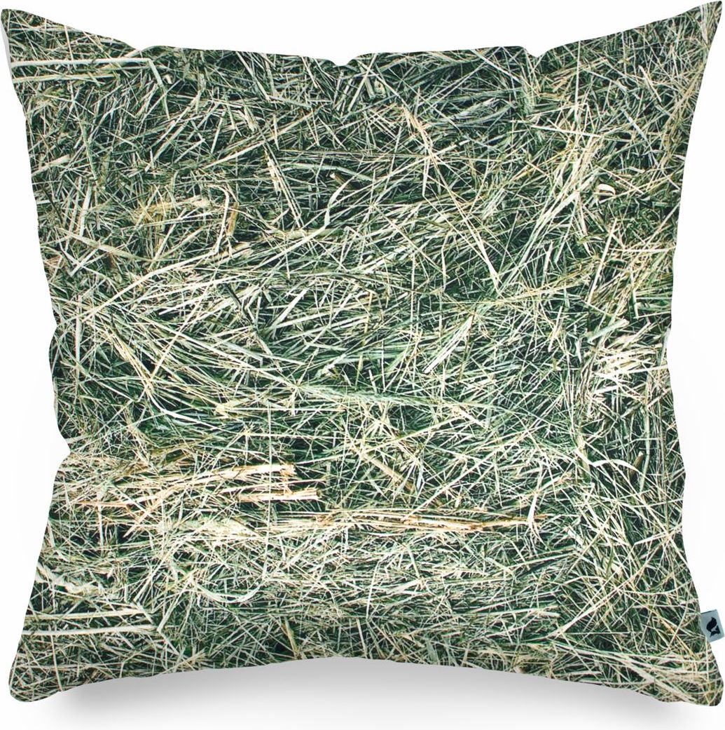 Poduszka dekoracyjna Foonka siano