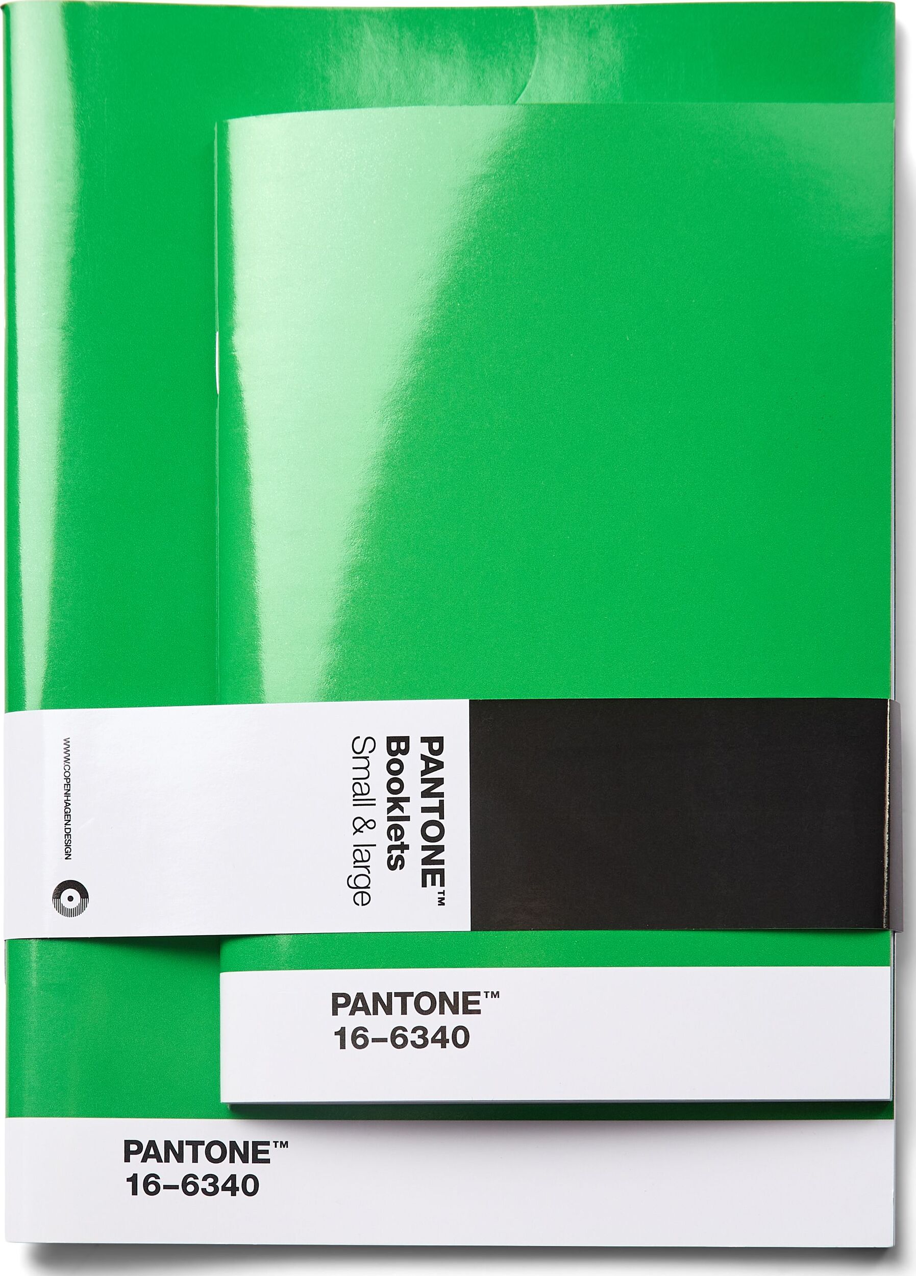 Zeszyty w kropki Pantone zielone 2 szt.
