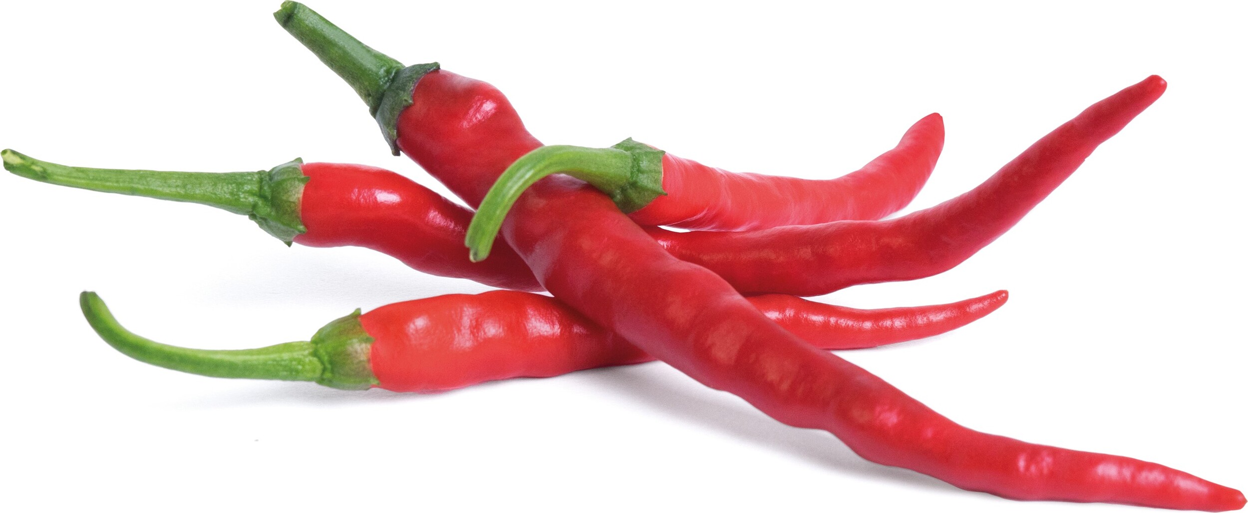 Wkład nasienny Lingot mini warzywa papryka chili