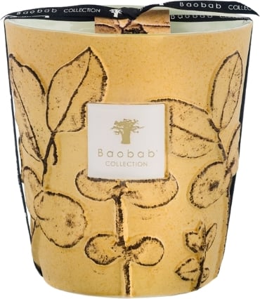 Świeca zapachowa Folia Garrigue 16 cm