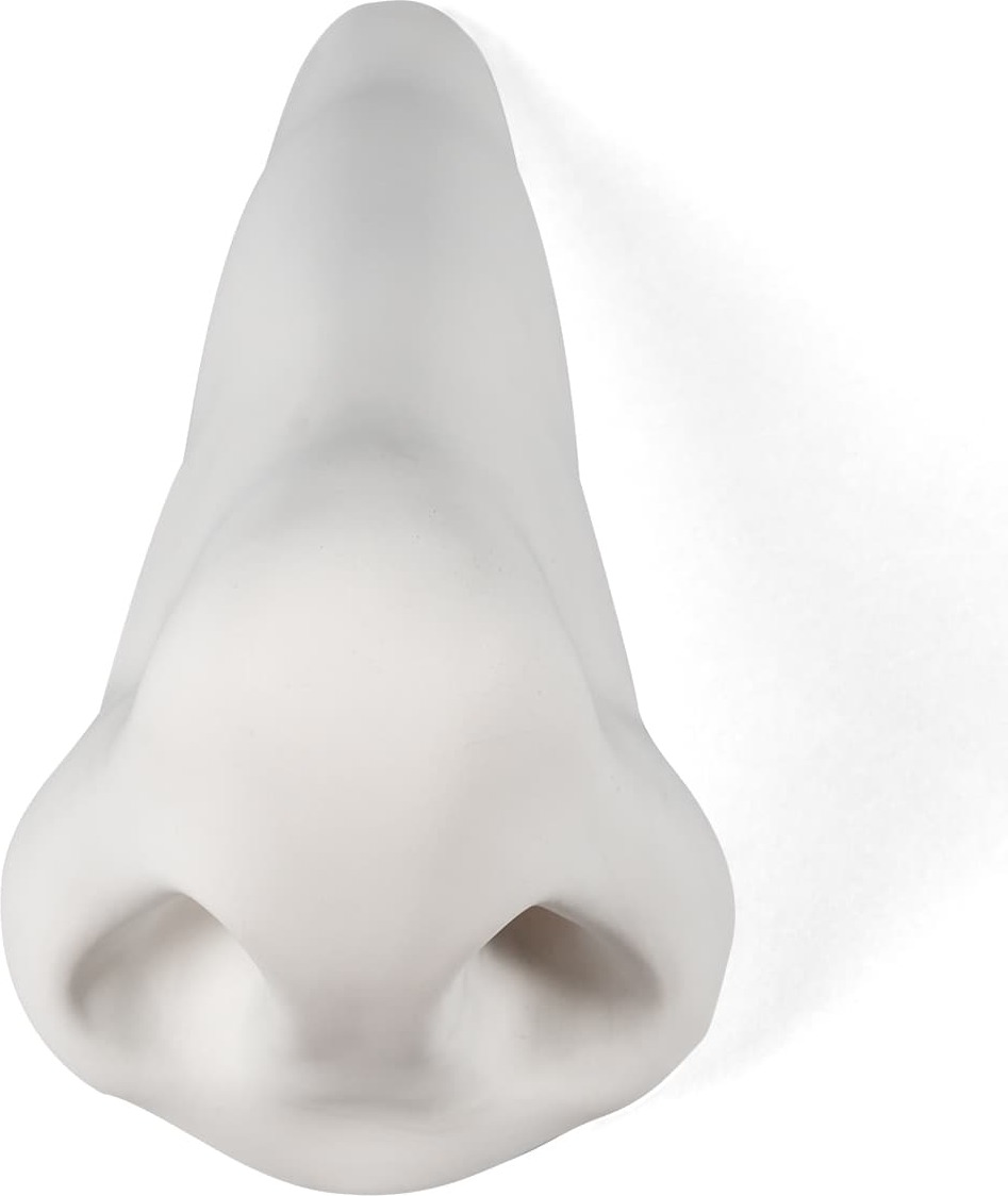 Dekoracja Memorabilia Mvsevm nos