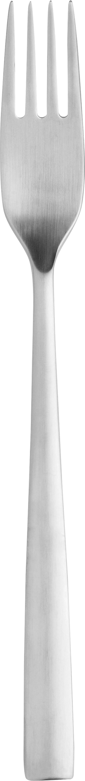 Widelczyk deserowy Chaco