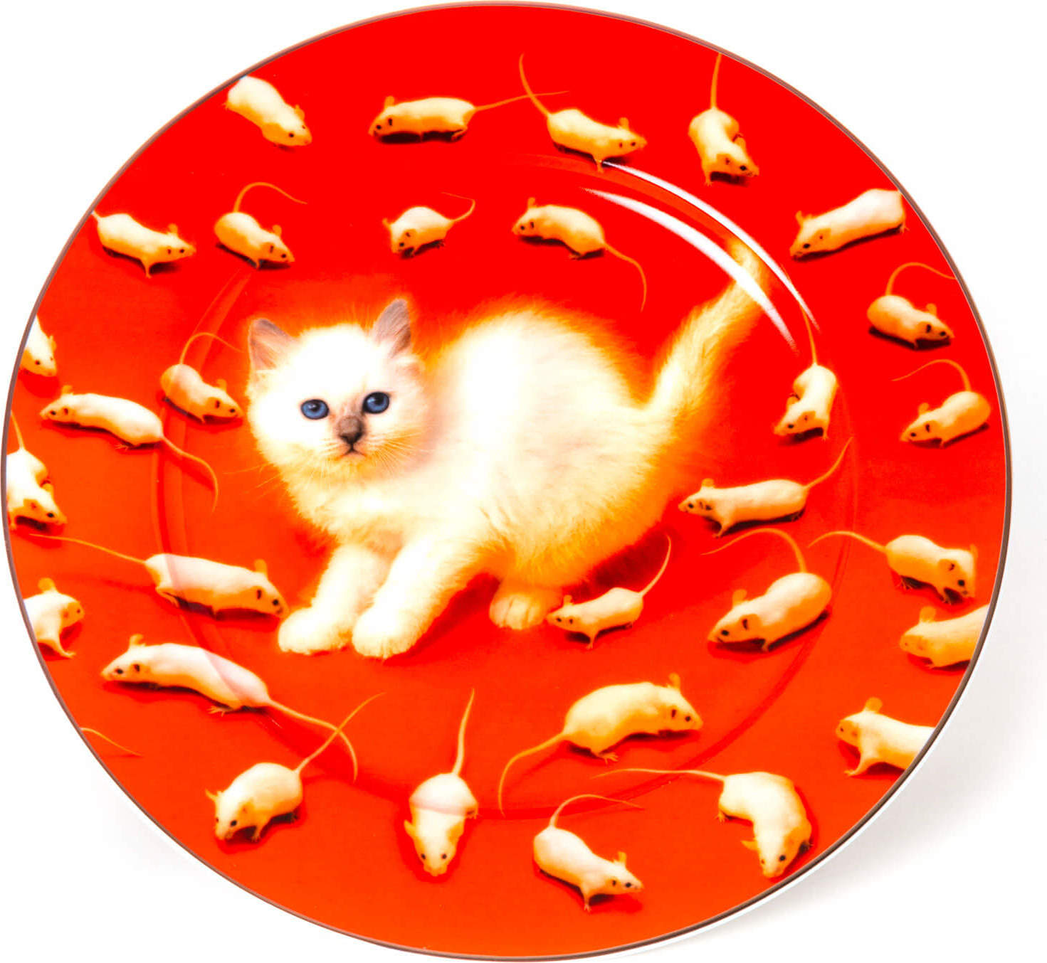 Talerz Seletti Wears Toiletpaper Kitten ze złotą krawędzią