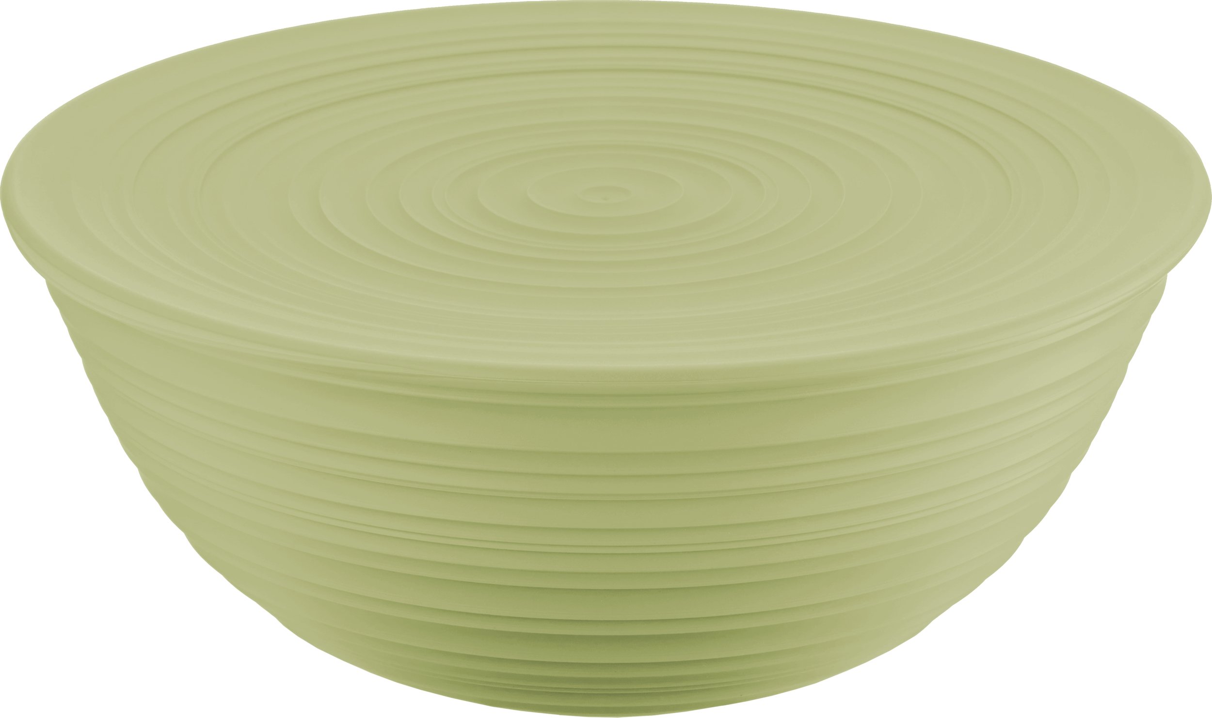 Miska z pokrywką Tierra XL jasnozielona