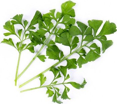 Wkład nasienny Lingot warzywa liściowe rukiew wodna