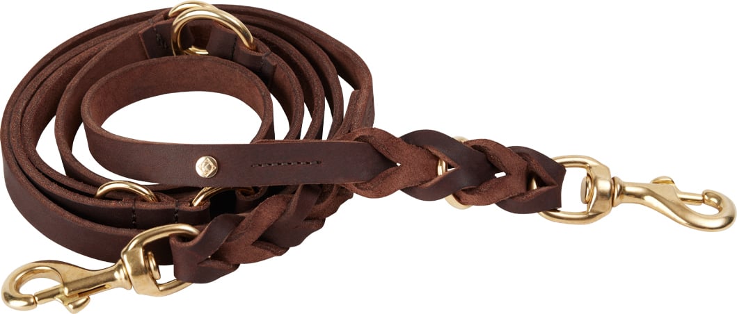Smycz dla psa Robin 200 cm brązowa