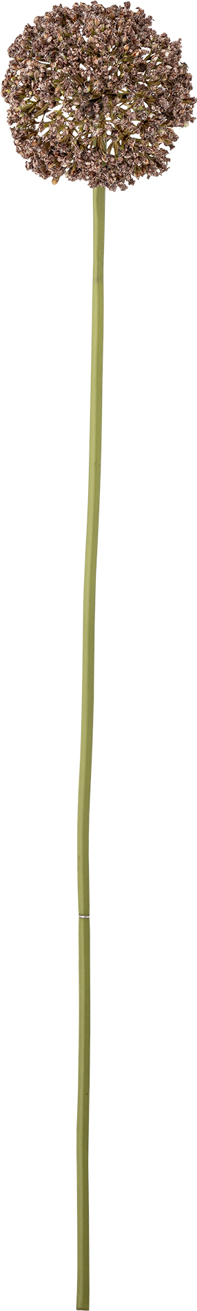 Kwiat sztuczny Bloomingville czosnek ozdobny brązowy