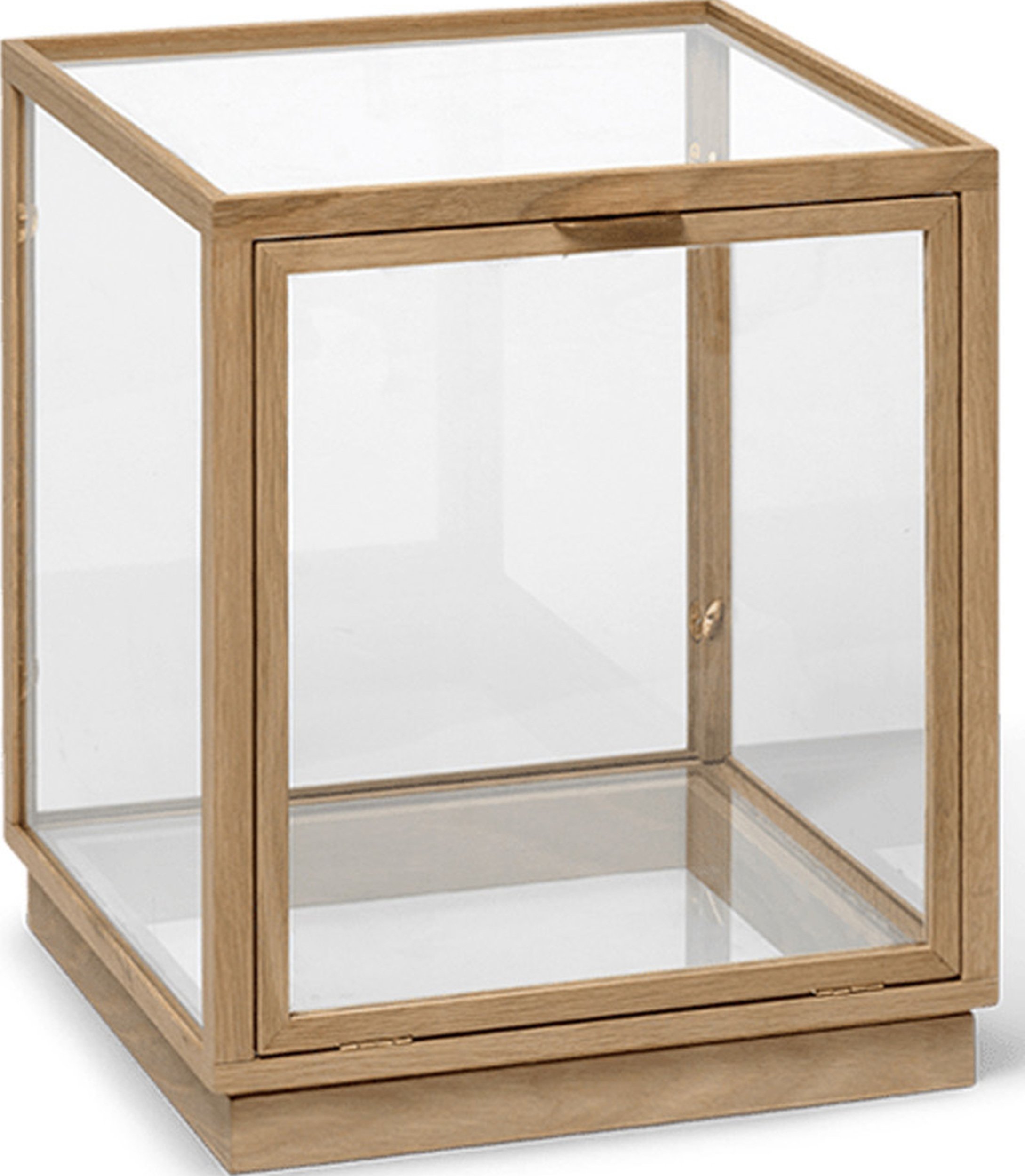 Witryna Miru naturalny dąb