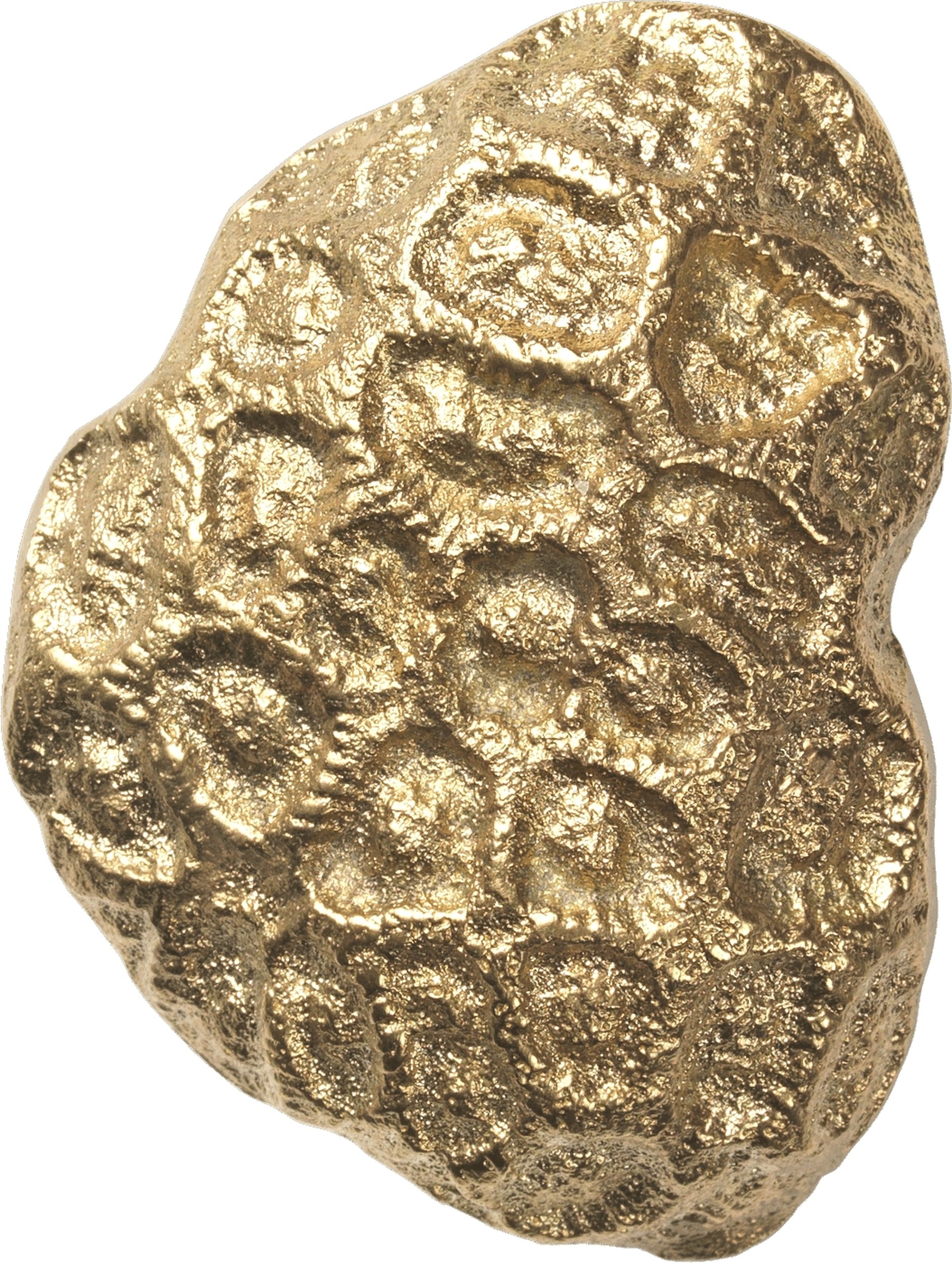 Haczyk ścienny Comber Coral złoty