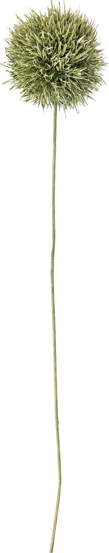 Kwiat sztuczny Bloomingville czosnek ozdobny zielony