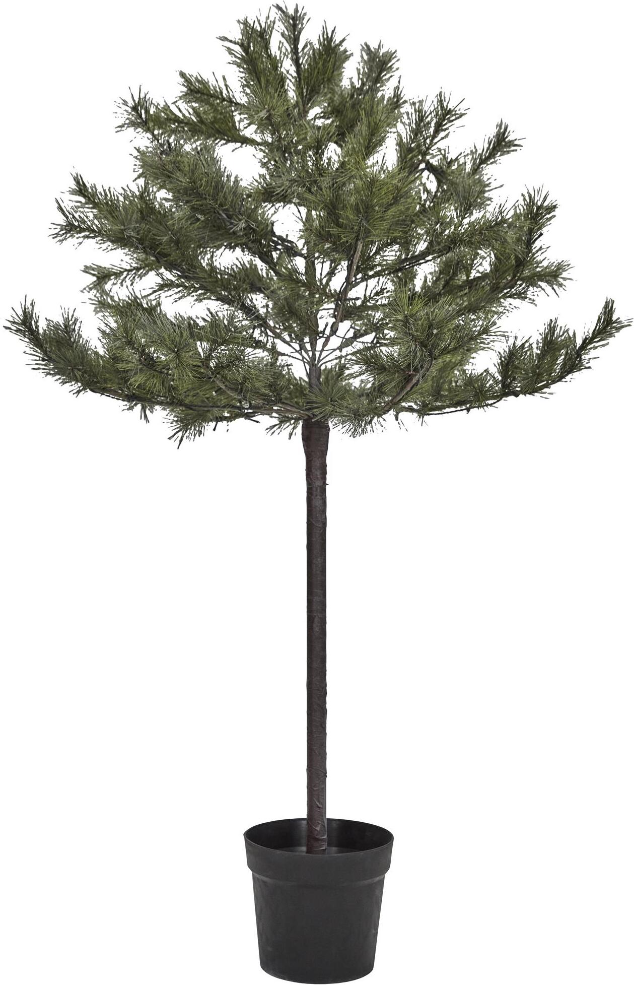 Choinka Peuce 150 cm LED