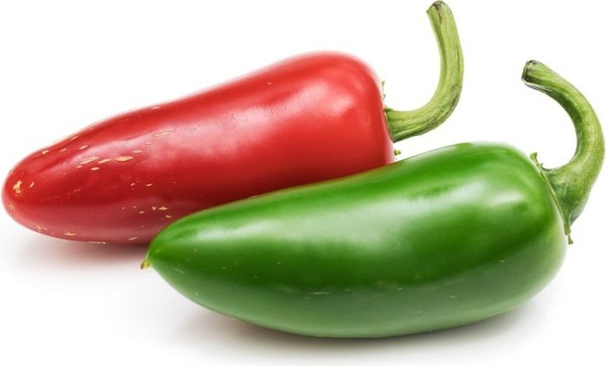 Wkład nasienny Lingot mini warzywa papryka Jalapeño