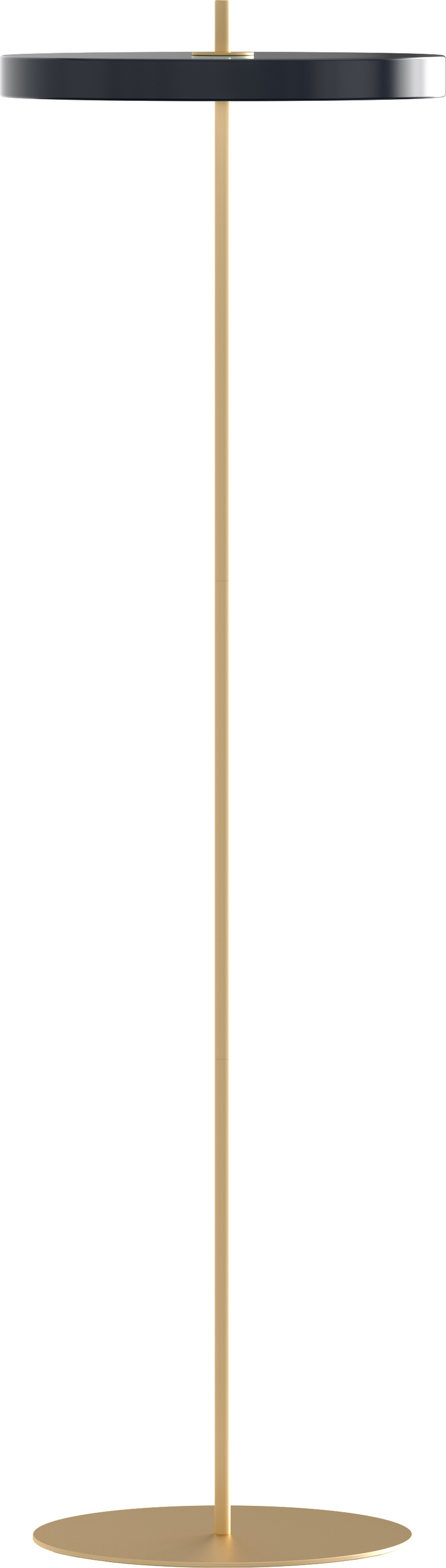 Lampa podłogowa Asteria antracytowa