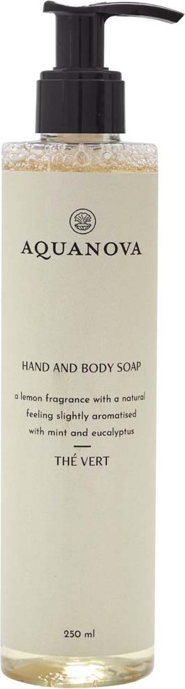 Mydło w płynie Paris The Vert 250 ml