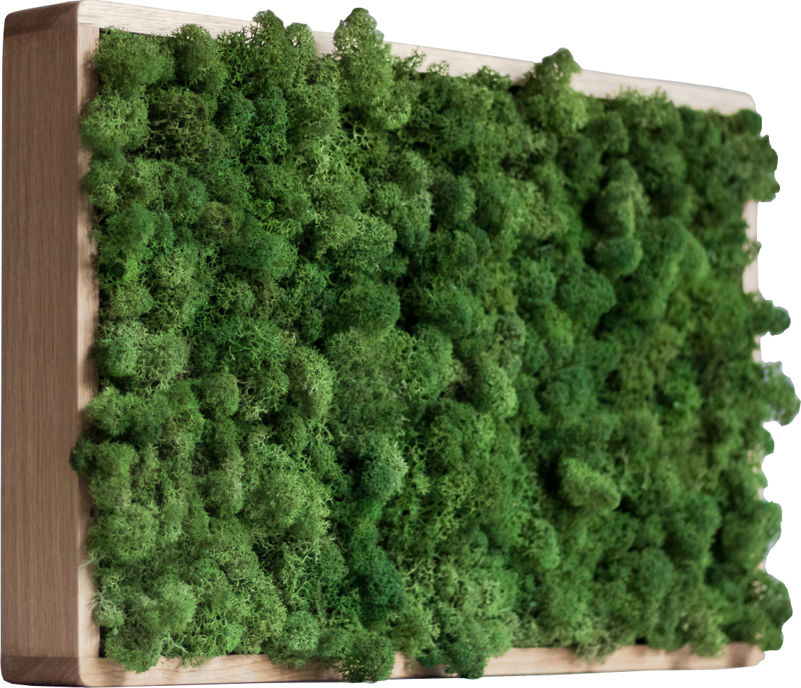 Dekoracja ścienna gate jednostronna 54 cm