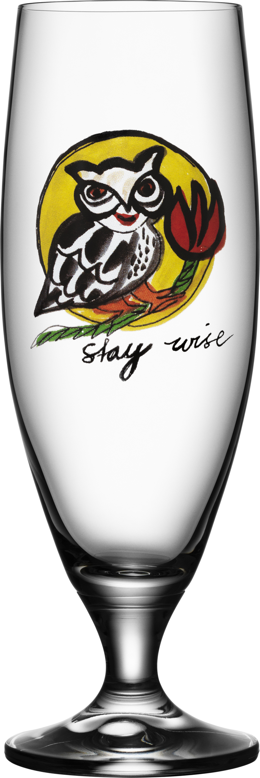 Szklanka do piwa Friendship Stay Wise 500 ml