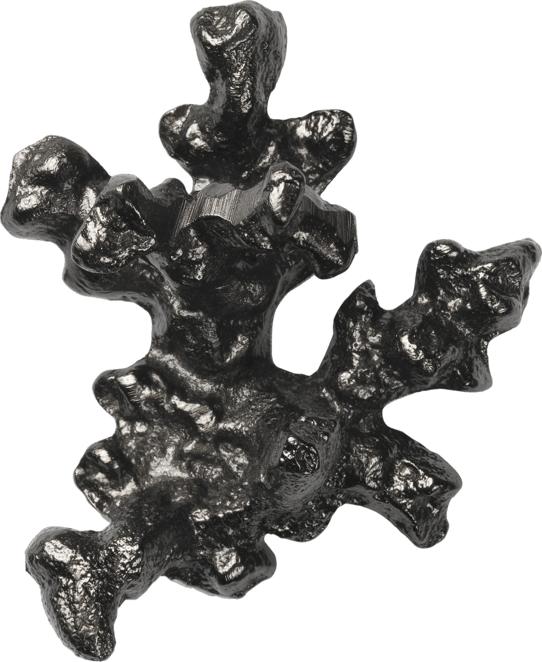 Haczyk ścienny Comber Coral Branch czarny